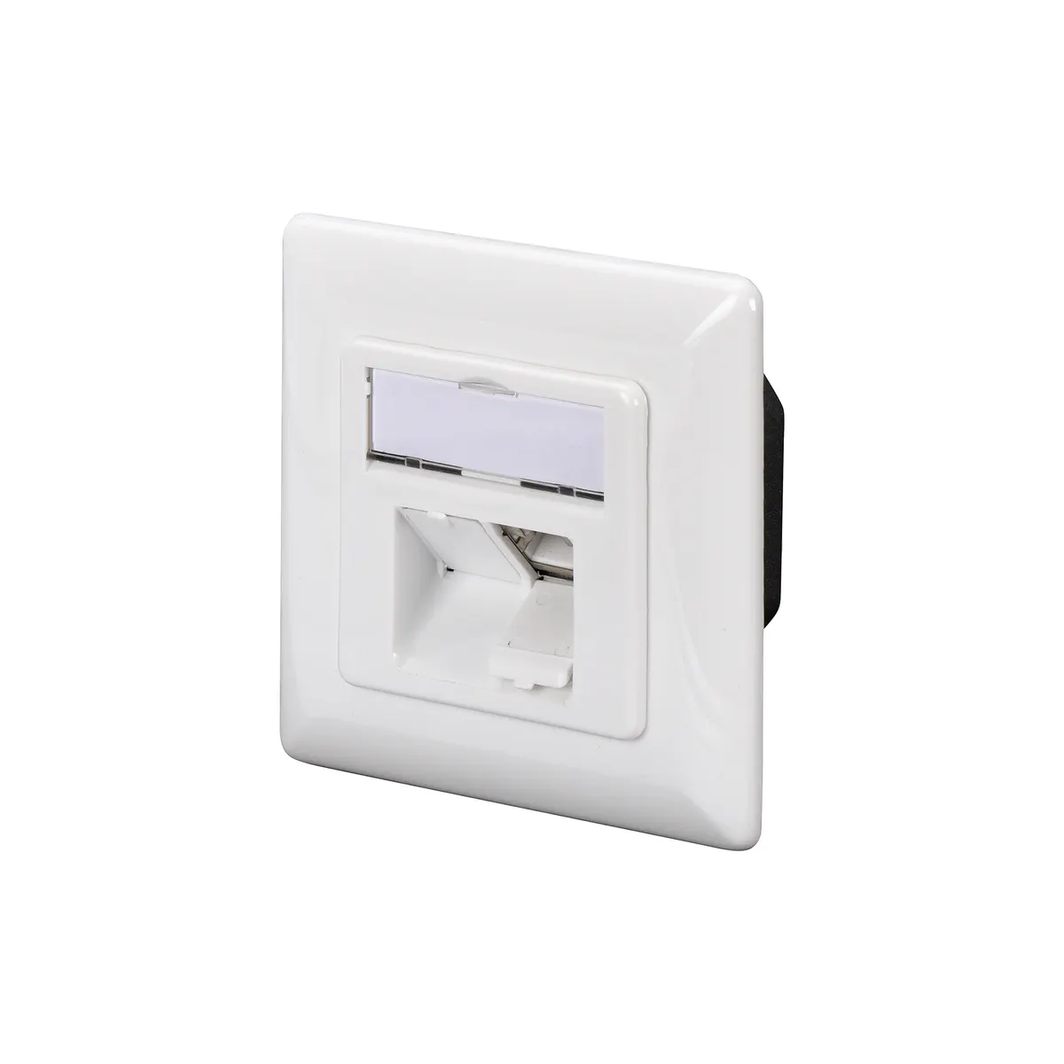 Assmann DN-9007-S-1 cat 6a hálózati aljzat 2 x RJ-45 fehér ABS 80x38,5x80 mm #1