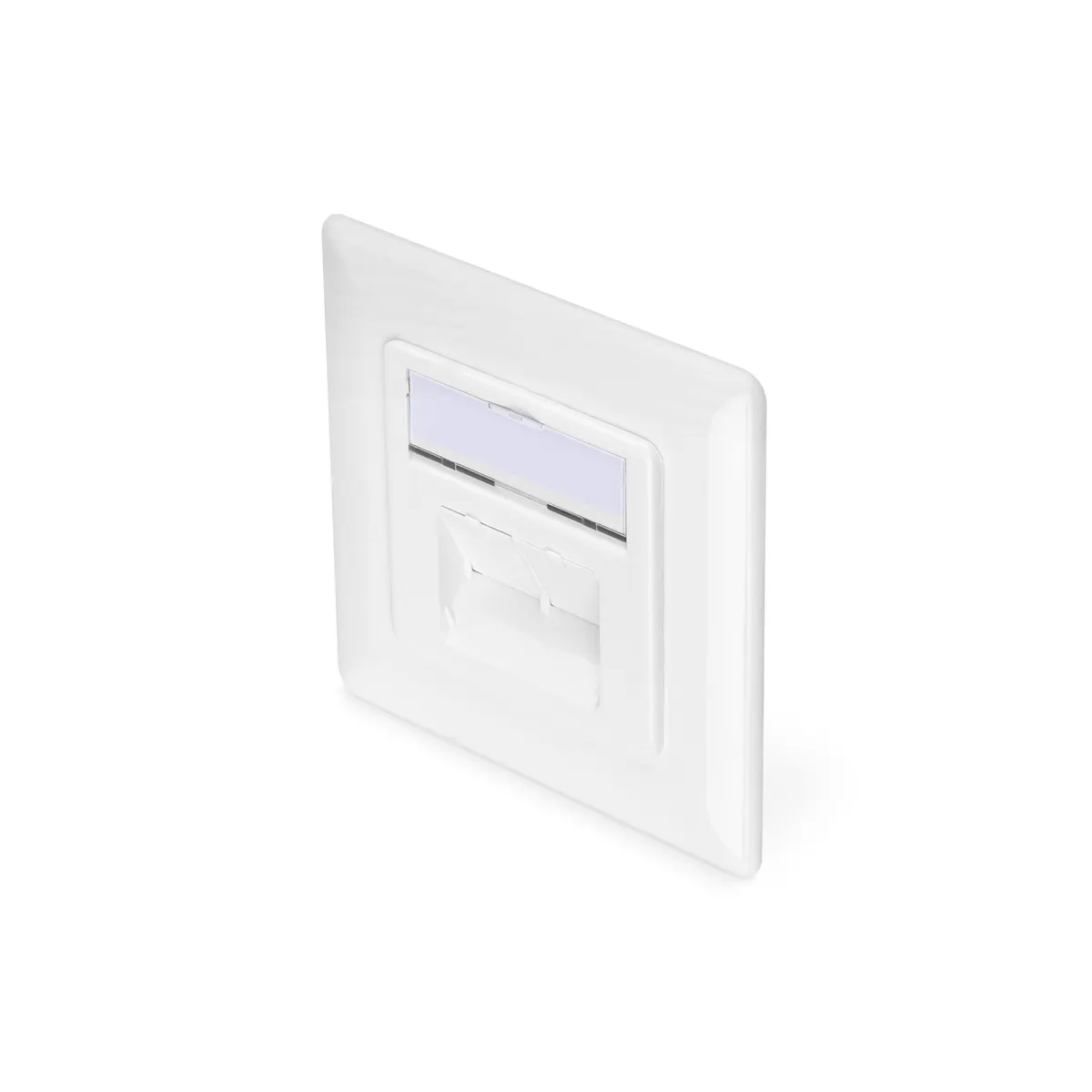 Assmann DN-9007-1 csatlakozóaljzat 2xRJ-45 Cat6a fehér fém #1