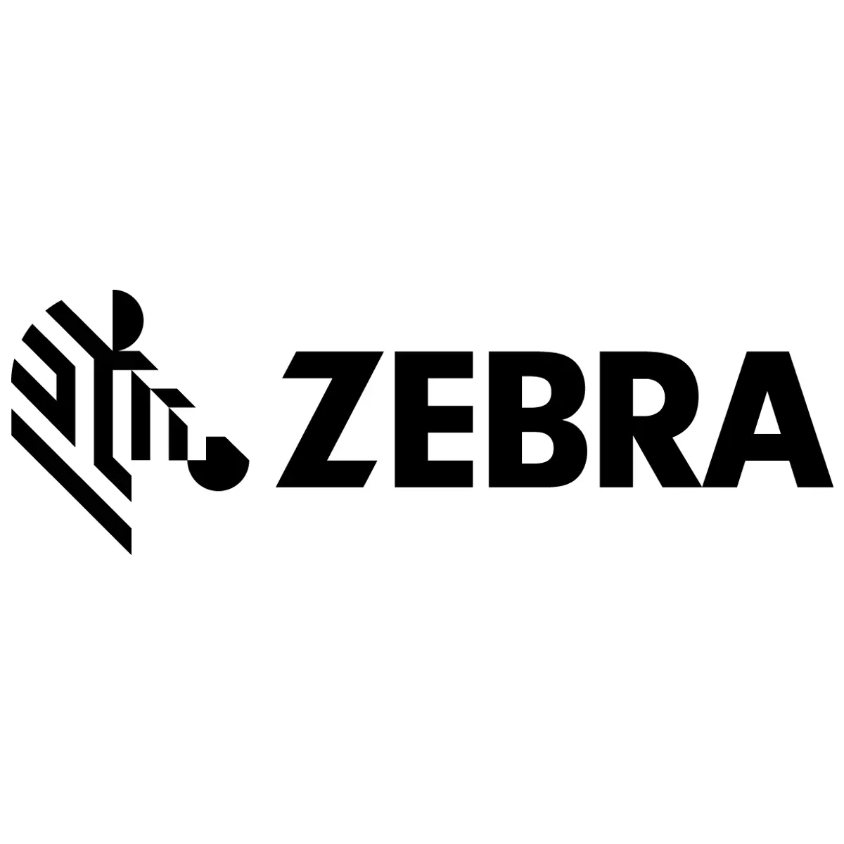 Zebra P1112640-219 nyomtatófej ZD421T 300 dpi #1