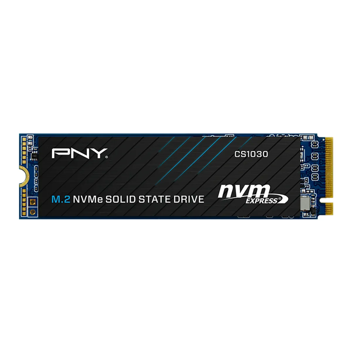 PNY M280CS1030-250-RB CS1030 M.2 NVMe PCIe Gen3 x4 250 GB #1