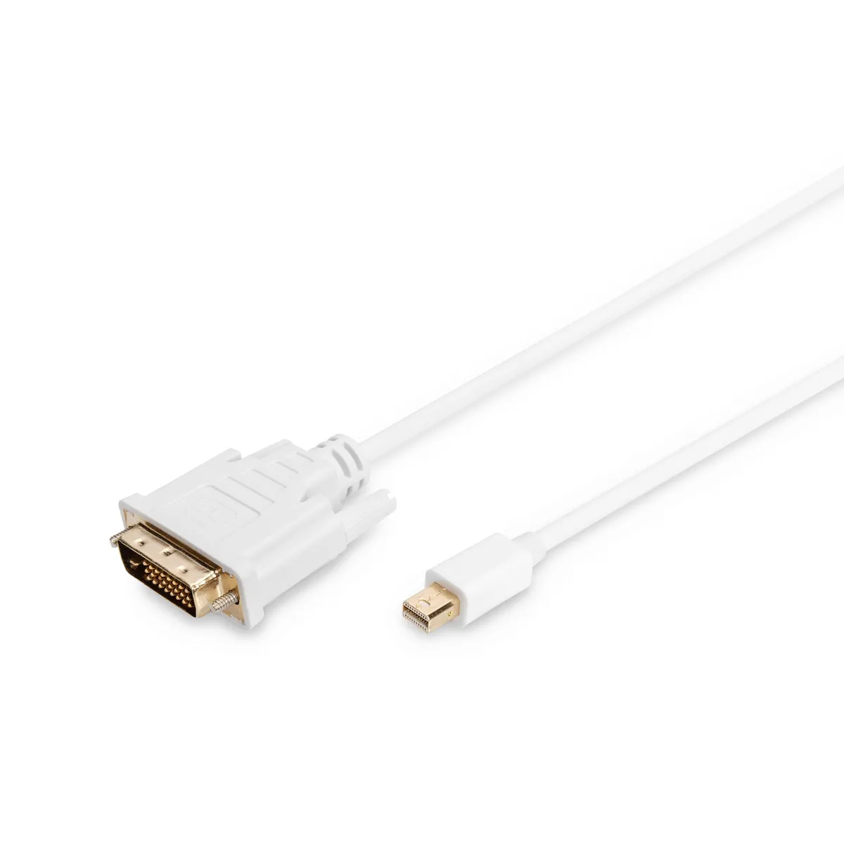 Assmann AK-340305-020-W DisplayPort adapter kábel mini DisplayPort - DVI-D fehér 2 m #1