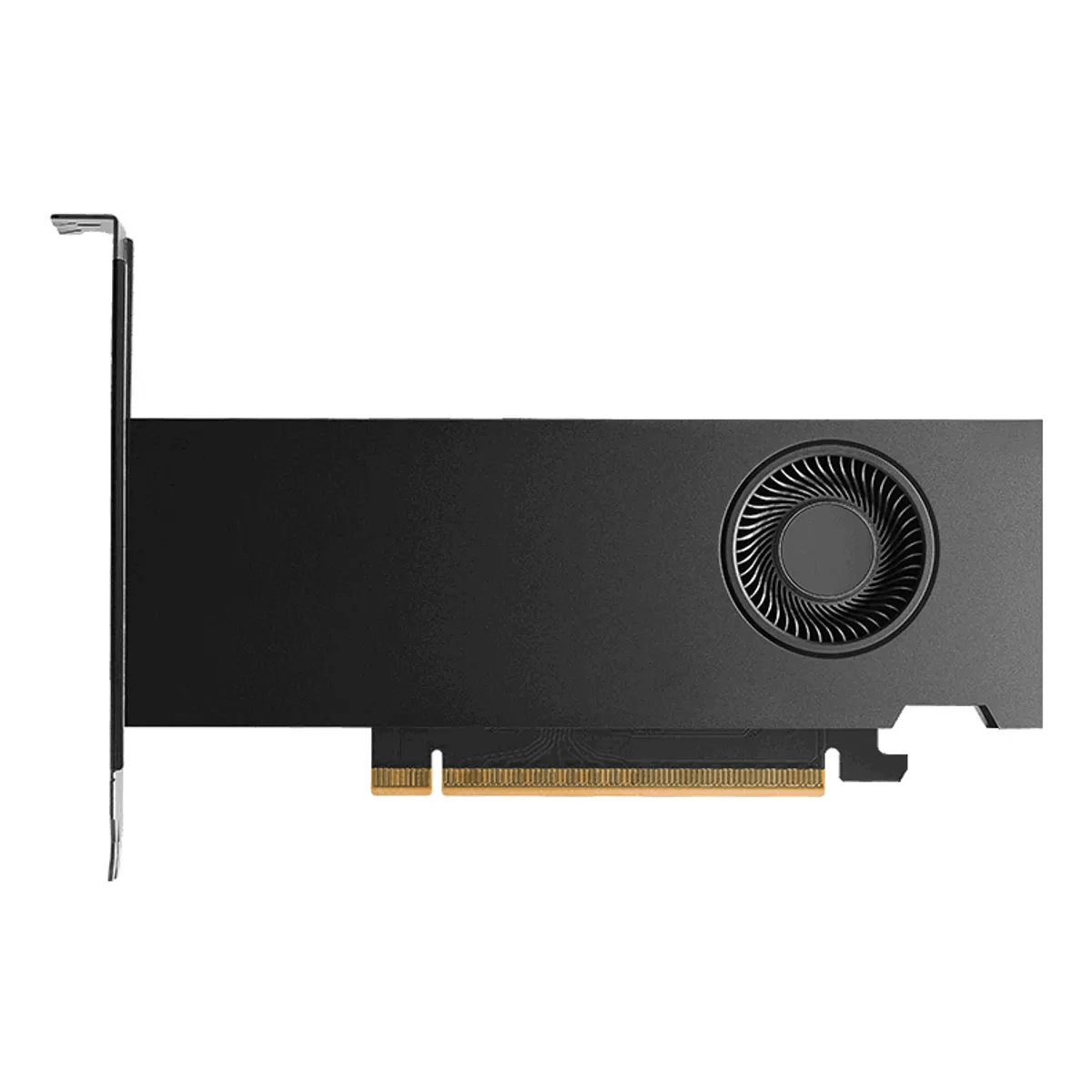 PNY VCNRTXPRO2000-SB RTX Pro 2000 Blackwell 16 GB GDDR7 ECC 128-bit PCIe 5.0 x8 #1