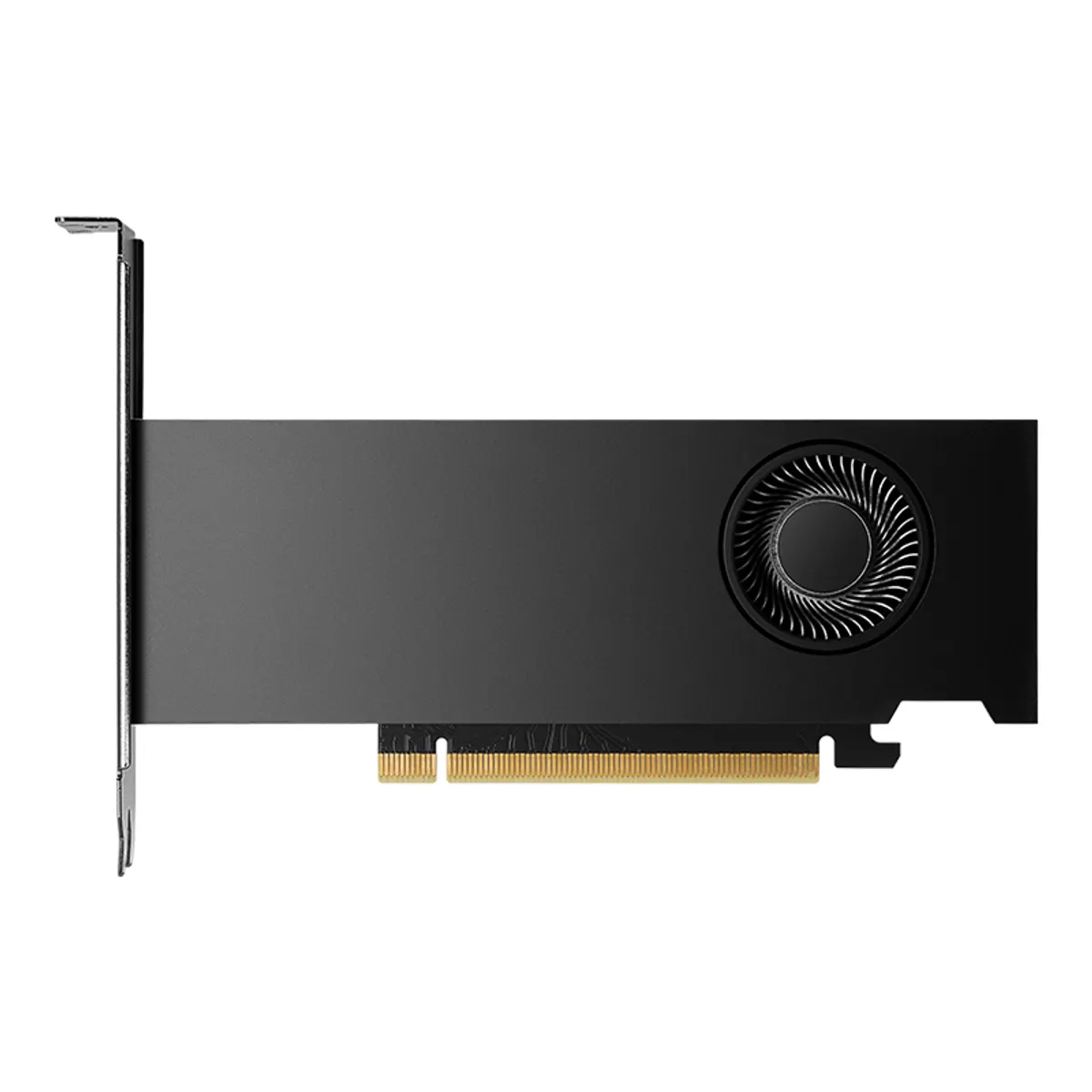 PNY VCNRTX2000ADA-PB RTX 2000 Ada 16GB GDDR6 ECC 128-bit PCIe 4.0 x8 4x Mini DisplayPort 1.4a NVENC NVDEC 70 W #1