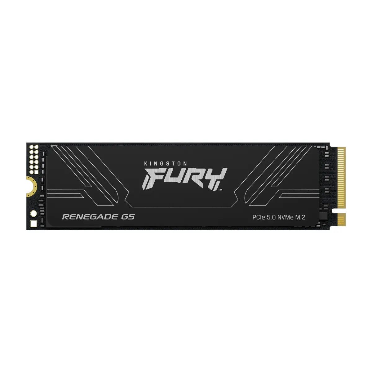 Kingston SFYR2S/4T0 FURY Renegade G5 4TB M.2 2280 PCIe 5.0 x4 NVMe #1