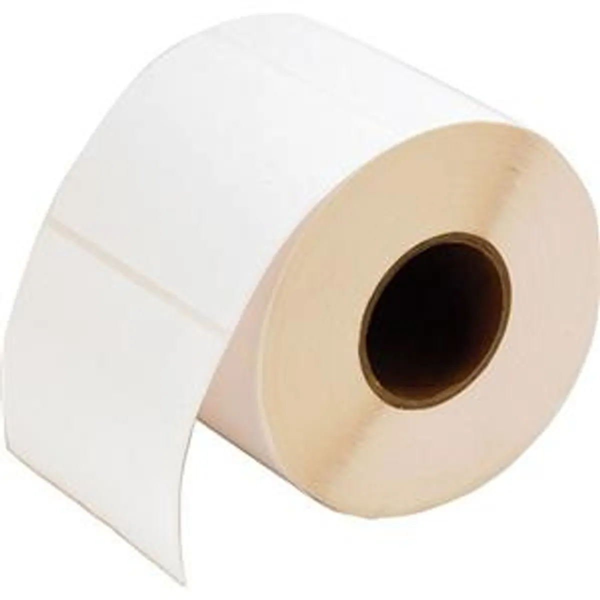 Zebra 880447-050DU Z-Perform 1000T 102x51mm tt uncoated 25mm core box/12 #1