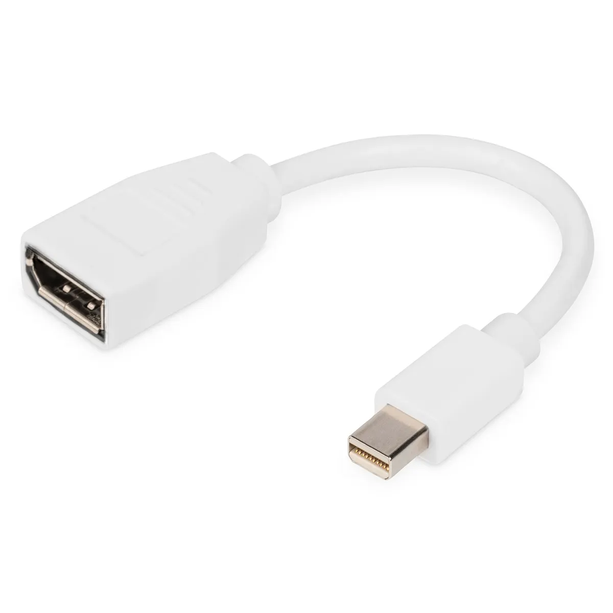 Assmann DB-340405-001-W DisplayPort adapter kábel Mini DP DVI 0,15 m DP 1.1 #1