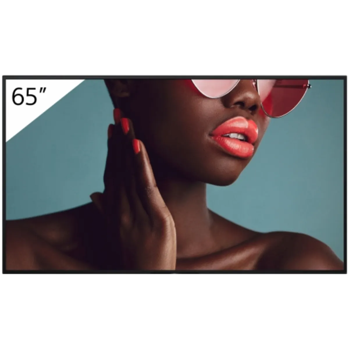 Sony FW-65BZ40L 65" Pro BRAVIA LCD 4K HDR Android 700 nit #1