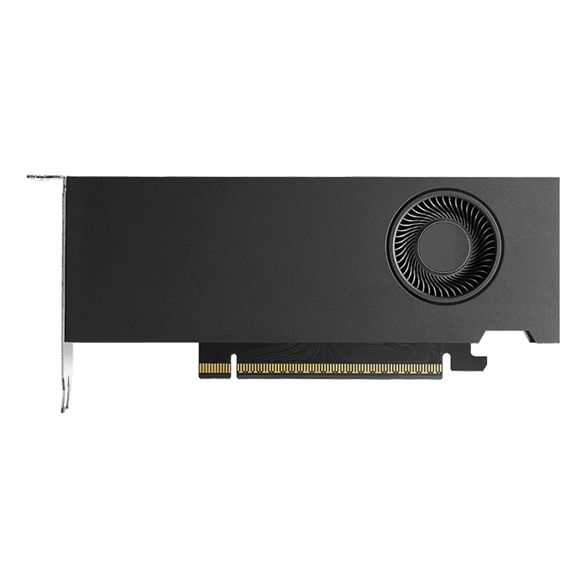 PNY VCNRTXPRO4000LP-SB RTX PRO 4000 Blackwell low-profile 24 gb gddr7 192-bit pcie 5.0 x8 sff #1