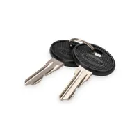 Assmann DN-19-KEY-4444 Zárókulcs falra szerelt SOHO Pro DN-1019 DN-DVR-1 2 db