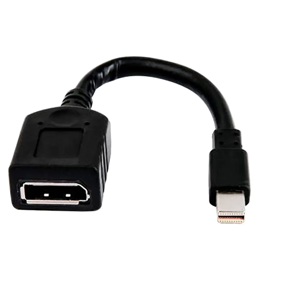 HP Inc. 2MY05AA Mini DisplayPort-DisplayPort adapterkábel #1